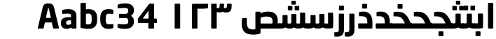 Neo Sans Arabic Complete Family Pack